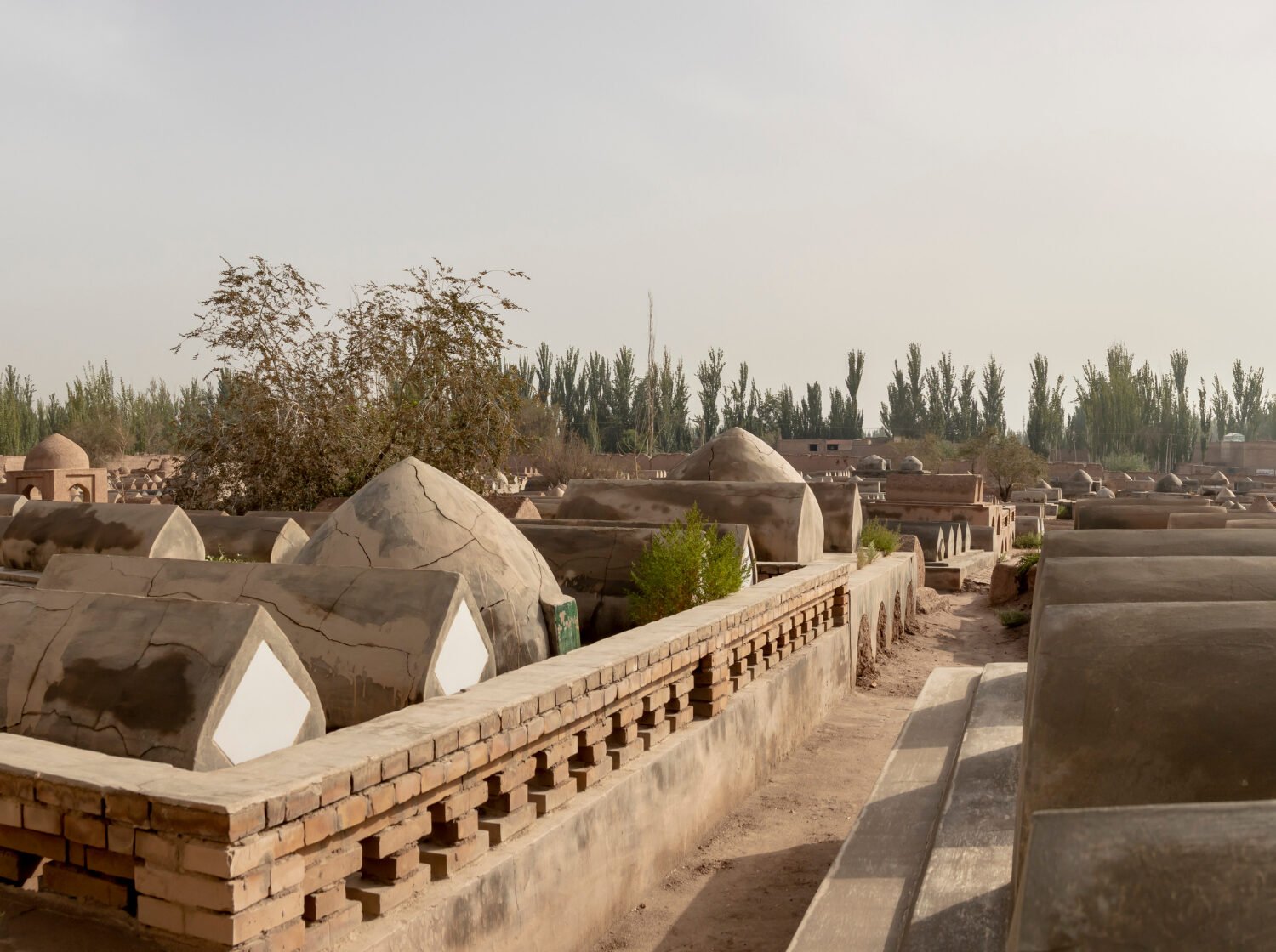 Tashkent To Beijing (2026)04