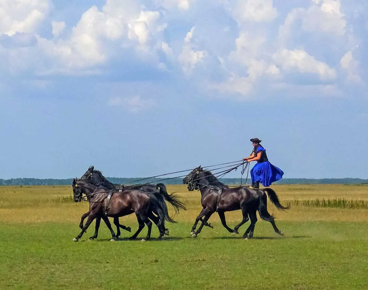 Puszta